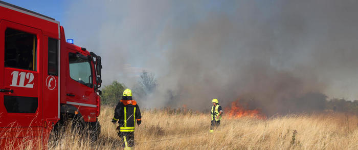 Trockene Gräser, Wiesen und Gestrüpp brennen wie Zunder, die Feuerwehren waren am Wochenende im Dauereinsatz. Wie am Heiligenstock in Berkersheim. FOTO: rolf oeser