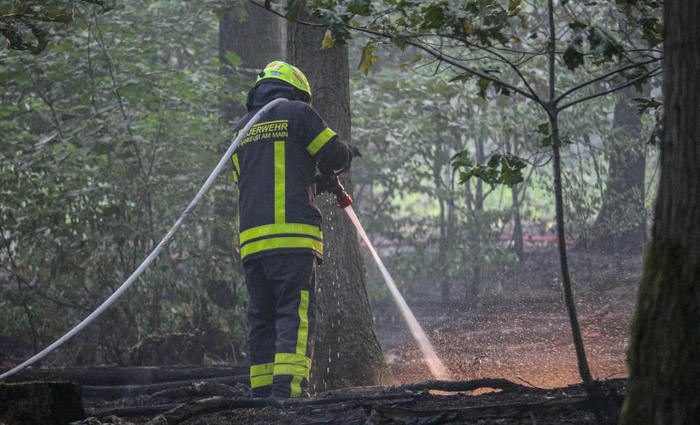 Ein Feuerwehrmann löscht eines der vielen Glutnester. Noch Stunden später beobachtete die Feuerwehr das Waldstück in Goldstein, damit es nicht zu einem erneuten Brand kommt. FOTO: sergen kaya